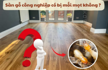 Sàn Công Nghiệp Có Bị Mối Mọt Không – Cách Phòng Tránh