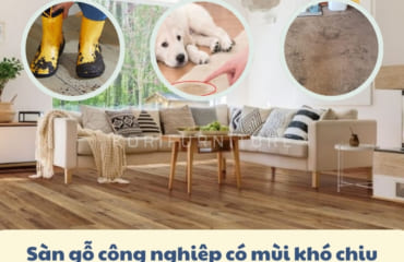 Sàn Gỗ Công Nghiệp Có Mùi Khó Chịu + Cách Loại Bỏ?